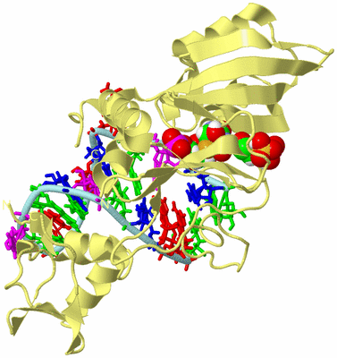 Image Biological Unit 2