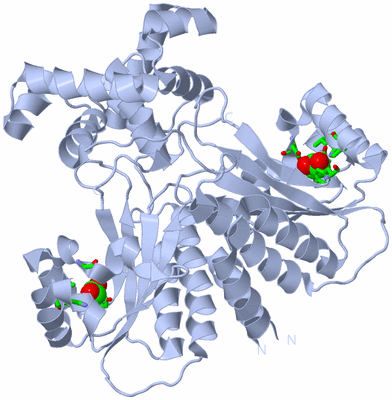 Image Biol. Unit 1 - sites