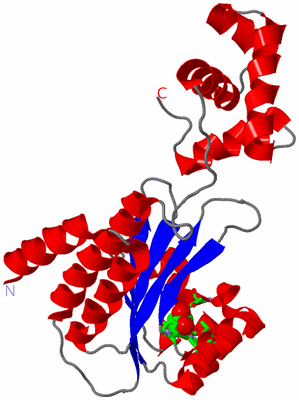 Image Asym. Unit - sites