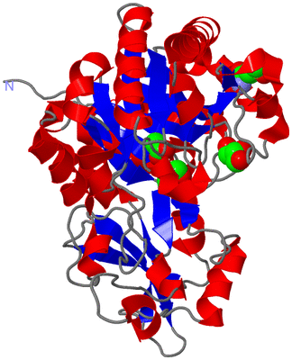 Image Asym./Biol. Unit