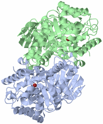 Image Asym./Biol. Unit