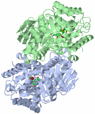 Image Asym./Biol. Unit - sites