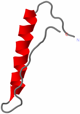 Image Asymmetric Unit