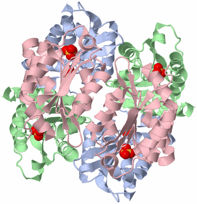 Image Biological Unit 1