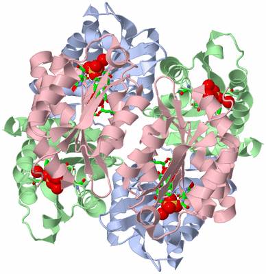 Image Biol. Unit 1 - sites