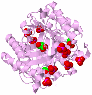 Image Biological Unit 3