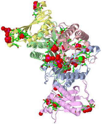 Image Asym. Unit - sites