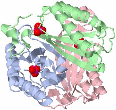 Image Biological Unit 1