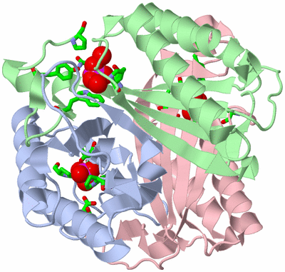 Image Biol. Unit 1 - sites