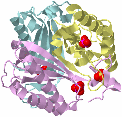 Image Biological Unit 2