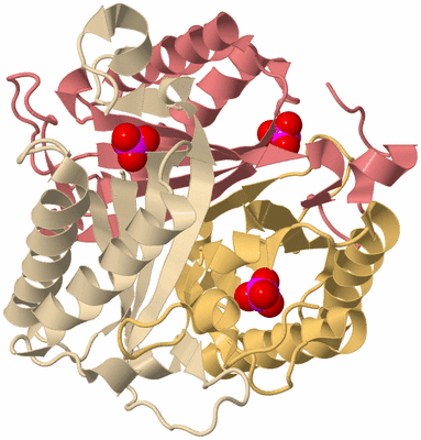 Image Biological Unit 3