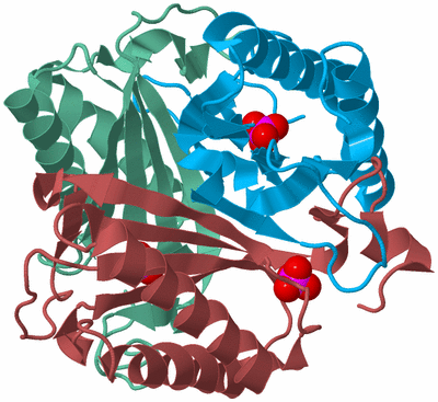 Image Biological Unit 4