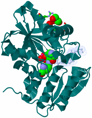 Image Asym./Biol. Unit - sites