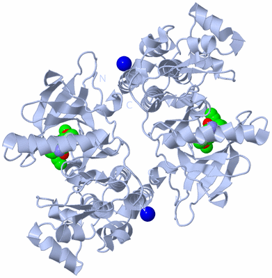 Image Biological Unit 2