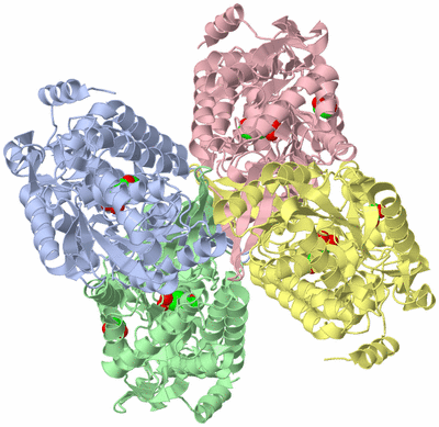 Image Biological Unit 1