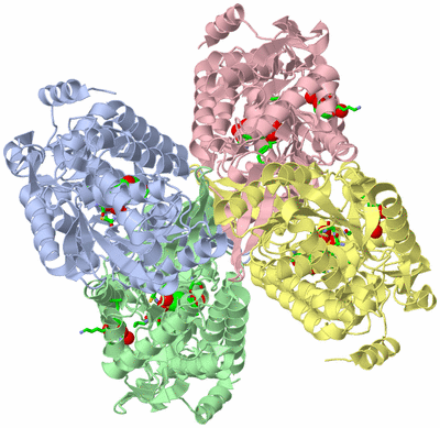 Image Biol. Unit 1 - sites