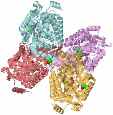 Image Biological Unit 2