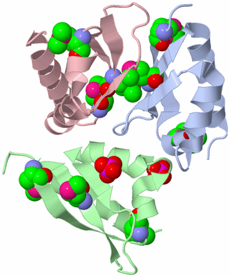 Image Biological Unit 1