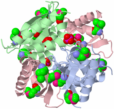 Image Biological Unit 2