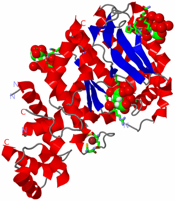 Image Asym./Biol. Unit - sites