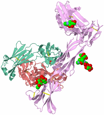 Image Asym./Biol. Unit