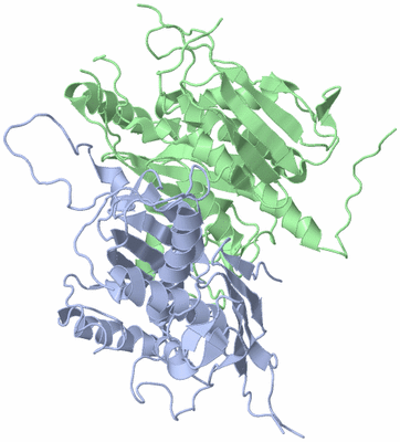 Image Asym./Biol. Unit