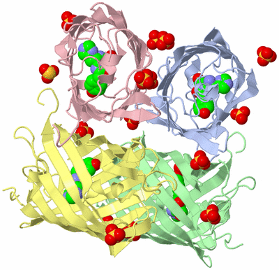 Image Asym./Biol. Unit