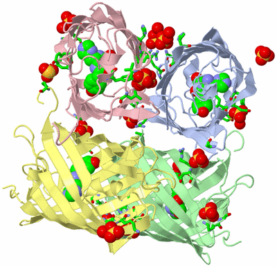 Image Asym./Biol. Unit - sites