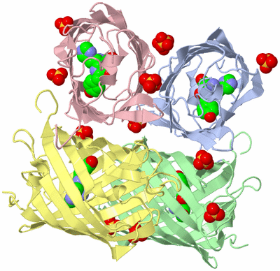 Image Asym./Biol. Unit