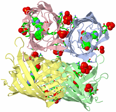 Image Asym./Biol. Unit - sites