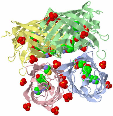 Image Asym./Biol. Unit