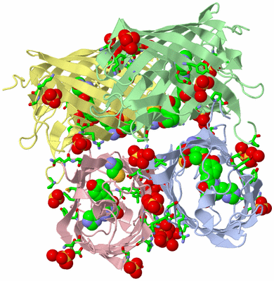 Image Asym./Biol. Unit - sites