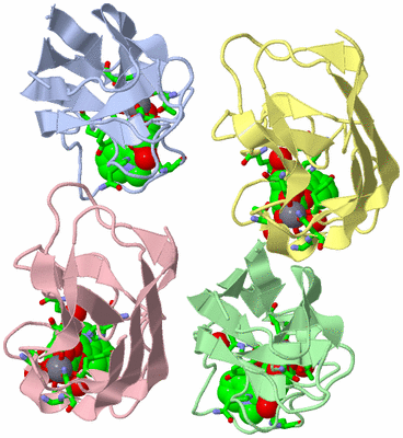 Image Asym./Biol. Unit - sites