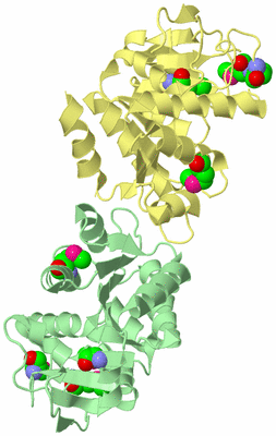 Image Biological Unit 2