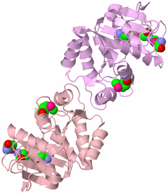 Image Biological Unit 3