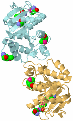 Image Biological Unit 4