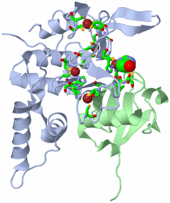 Image Asym./Biol. Unit - sites