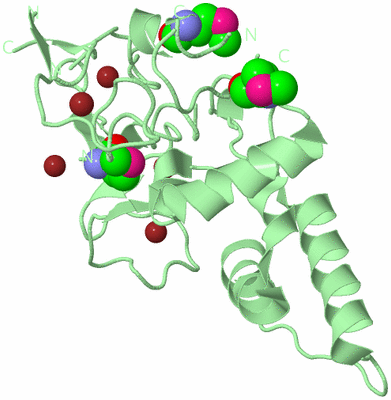 Image Biological Unit 1