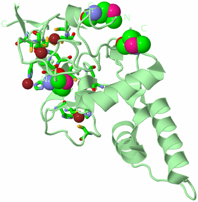 Image Biol. Unit 1 - sites