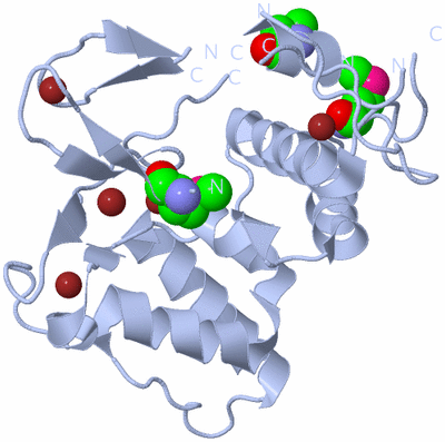 Image Biological Unit 2