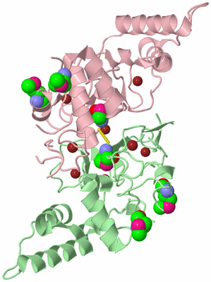 Image Biological Unit 5