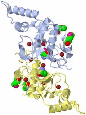 Image Biological Unit 6