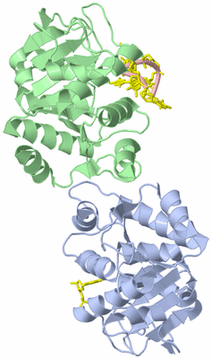 Image Asym./Biol. Unit