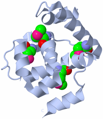 Image Biological Unit 1