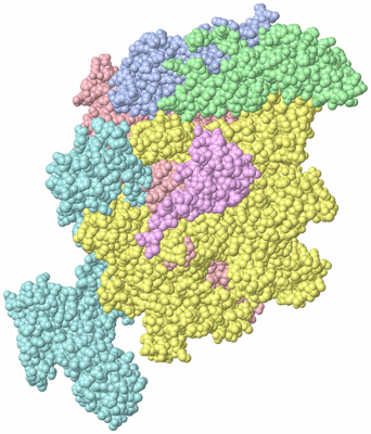 Image Biological Unit 1