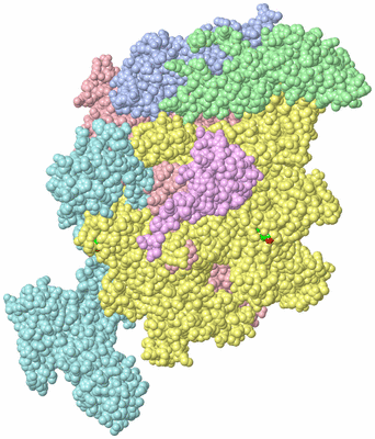 Image Biol. Unit 1 - sites