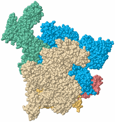 Image Biological Unit 2