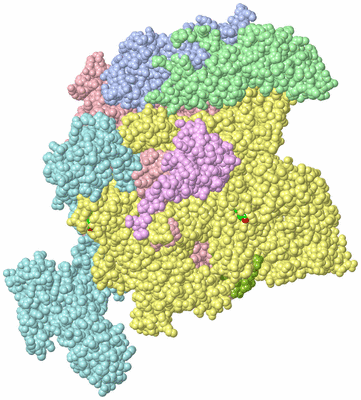 Image Biol. Unit 1 - sites