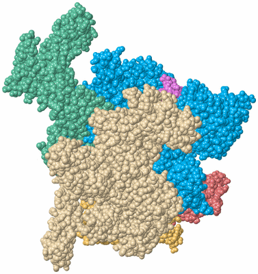 Image Biological Unit 2