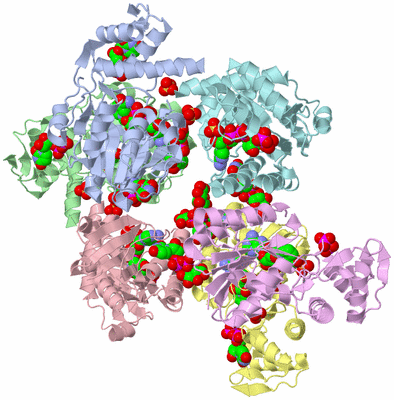 Image Asym./Biol. Unit